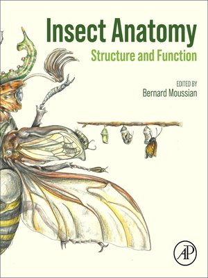 cover image of Insect Anatomy